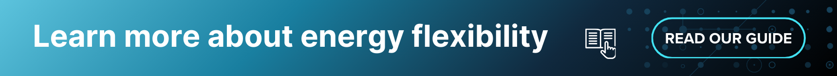 A guide to flexibility markets