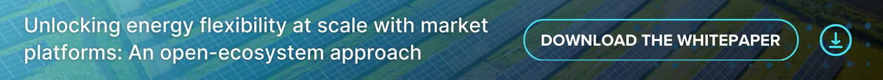Banner for the whitepaper: Unlocking energy flexibility at scale with market platforms: An open-ecosystem approach