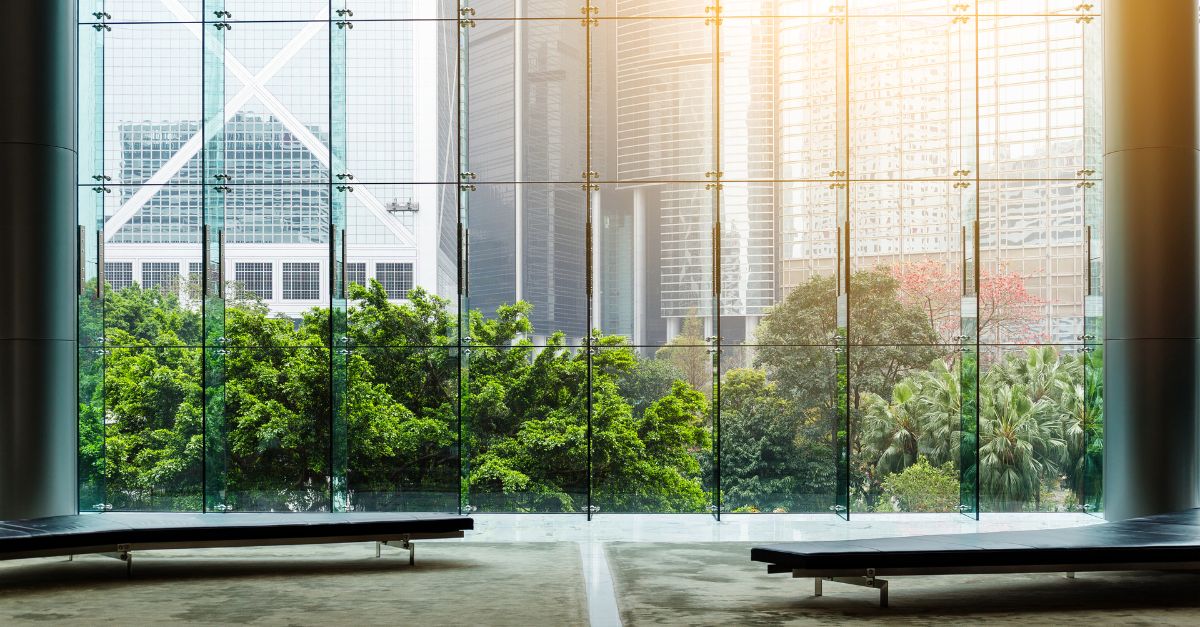 Large window showing greenery and buildings